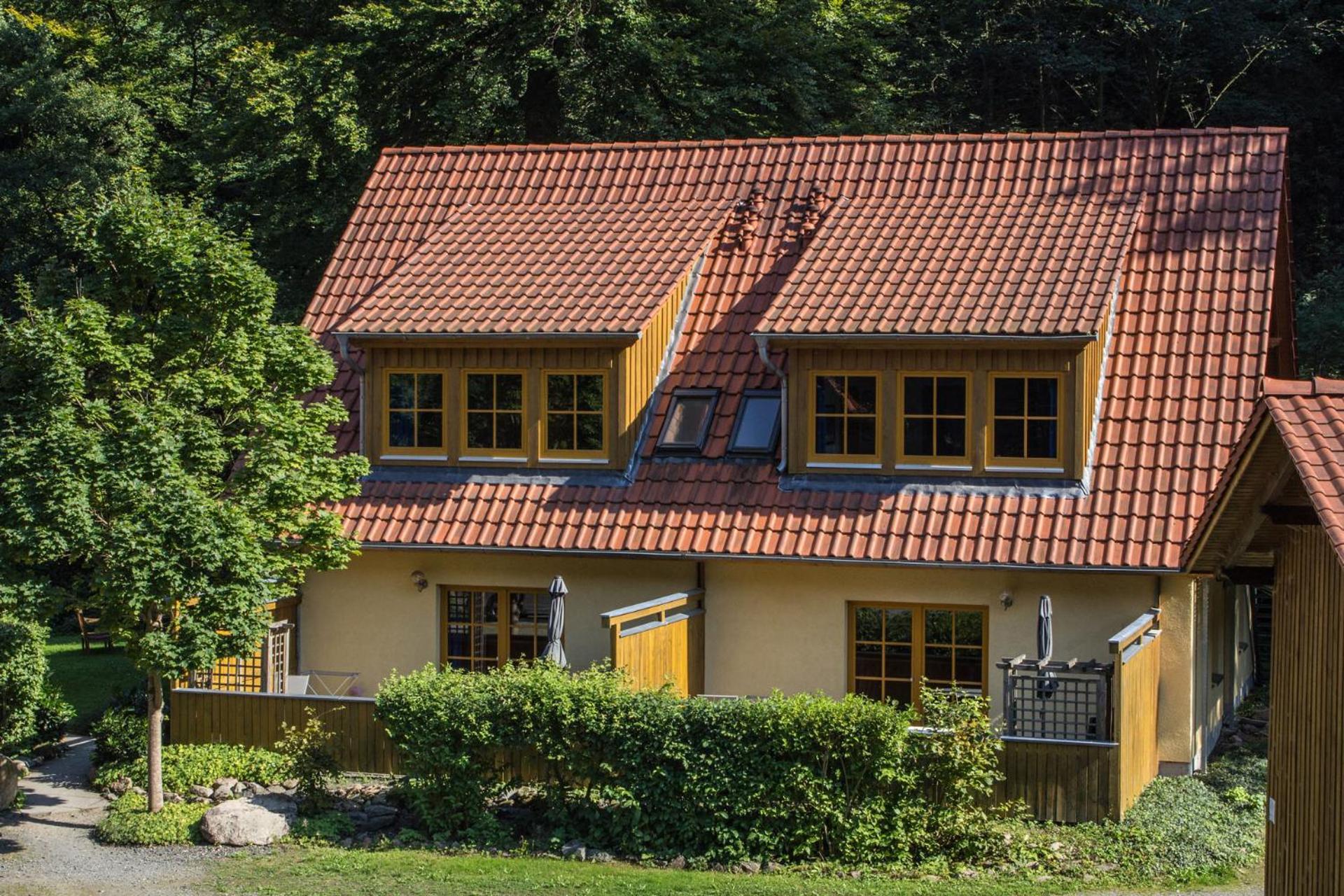 Ferienwohnung Ferienhaeuser Am Brocken, 60 Qm 2 Schlafzimmer Ільзенбург Екстер'єр фото